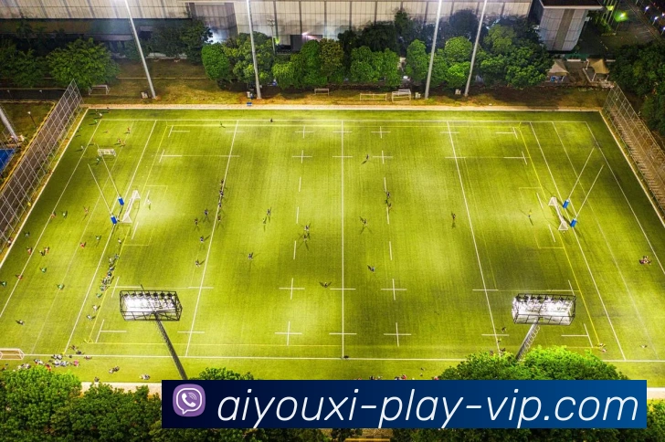 多媒体互动体验